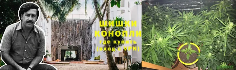 Канабис Ganja  OMG сайт  это Telegram  купить   Севск 